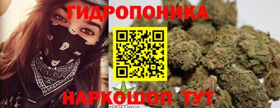 СК Анапа